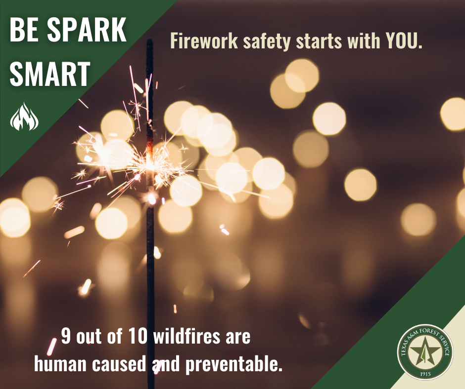 Wildfire Prevention Resources_Fireworks